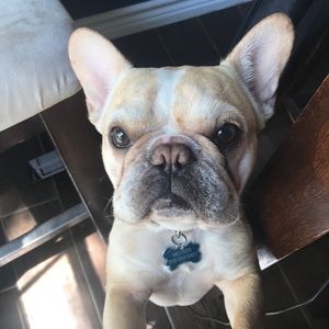 Meet your Posher, Tammy